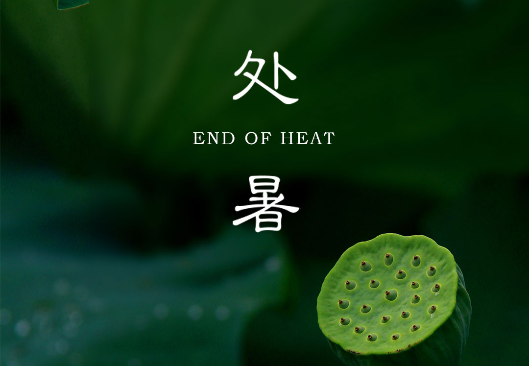 处暑|袅袅秋风起 最美人间秋